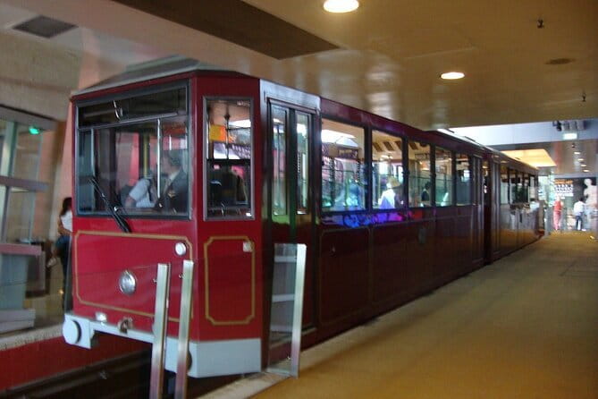 Deluxe Hong Kong City Tour using Mercedes-Benz V-Class Car+ Guide - Victoria Peak and the one-way tram ride