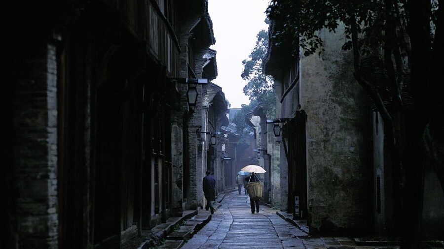 Delve into Wuzhen Water Town: Private Tour from Shanghai - Seeing Wuzhen from the canal