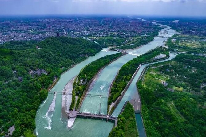Dujiangyan irrigation+Mt. Qingcheng or Panda Park Day Tour - Dujiangyan Panda Park: a quieter panda choice