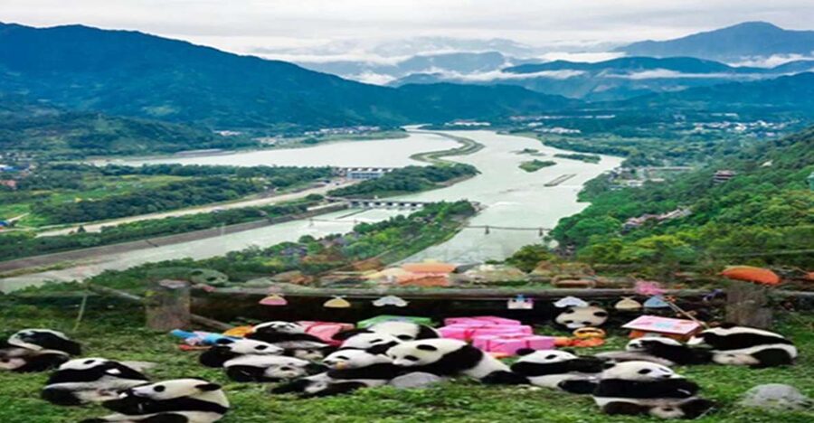 Dujiangyan panda base and irrigation system park day tour - Why this makes a good Chengdu day trip