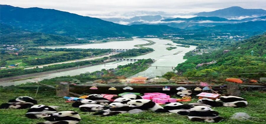 Dujiangyan panda base and irrigation system park day tour - What the $180 price really covers