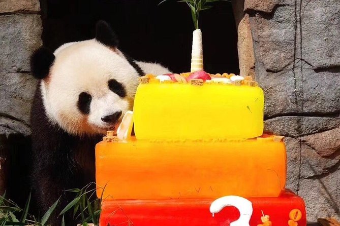 Dujiangyan Panda Base and Mount Qingcheng - Dujiangyan Panda Base: allow about two and a half hours