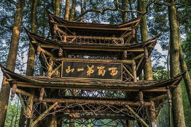 Dujiangyan Panda Base and Mount Qingcheng - What the four-hour mountain visit really involves
