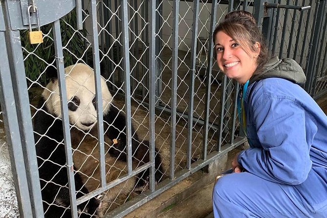 Dujiangyan Panda Volunteering Experience with Lunch - Cleaning an enclosure and preparing bamboo