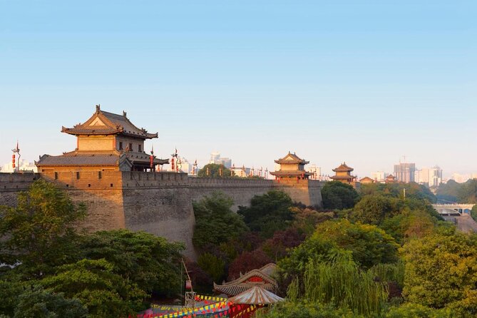 Essential Xi'an Private Day Tour Including Lunch - Key points at a glance