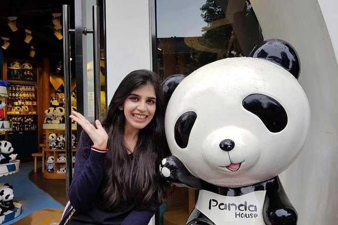 Everything Panda Private Day Tour in Chengdu - Kuanzhai Alley adds a second side of Chengdu