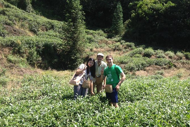 Experience Chengdu: Private Tea-Making Day Tour of Mengdingshan Tea Plantation - A local Chinese lunch before the tea fields