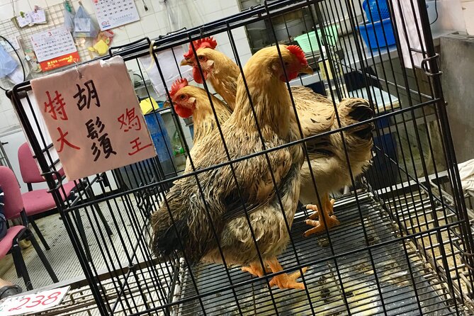 Explore Hong Kong: Sham Shui Po - Every Bit Local! - Fuk Wing Street and the local market rhythm