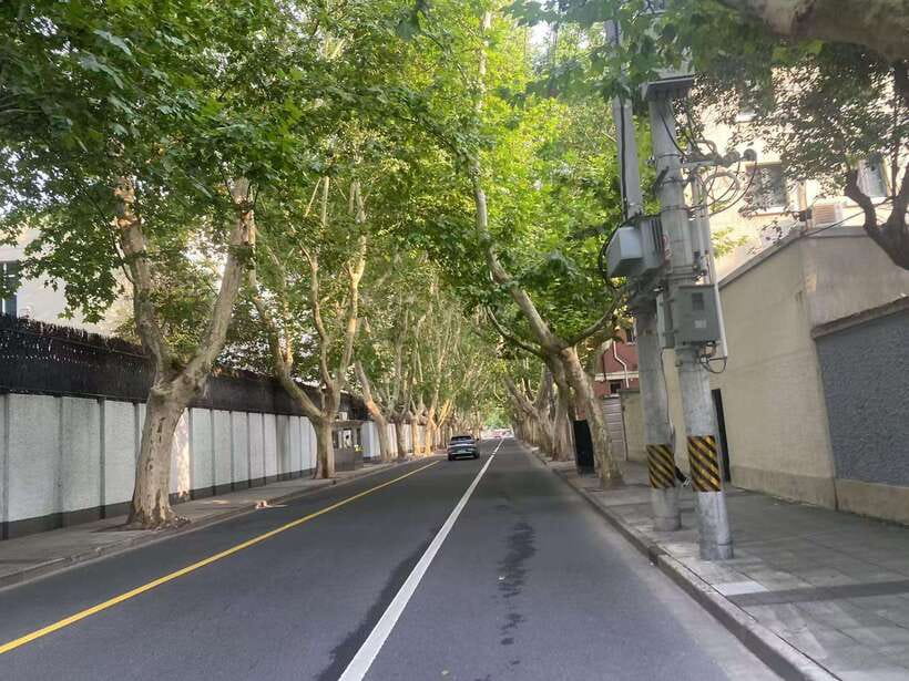 Explore Shanghai's Old Town & Suzhou River by Bike - What the $59 price gets you