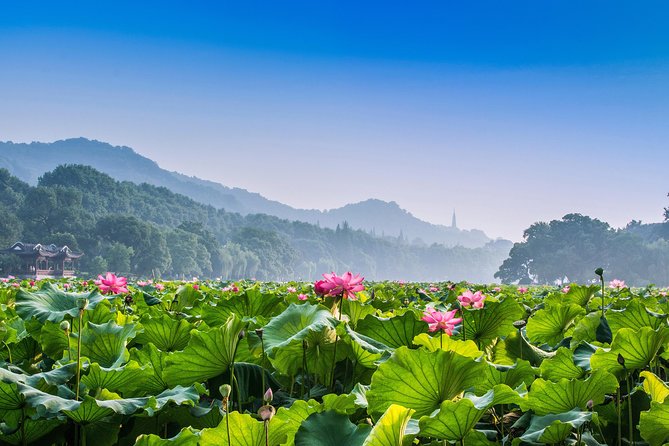 Flexible Hangzhou Private Day Tour with Lunch - Longjing tea fields and a farm lunch