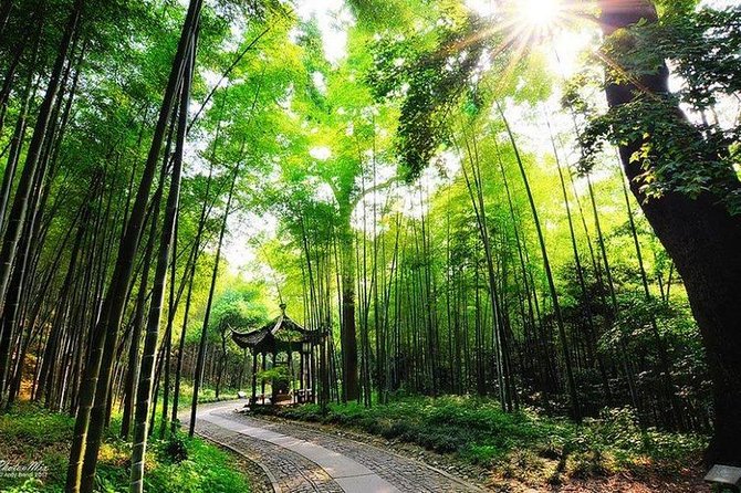 Flexible Hangzhou Private Day Tour with Lunch - Lingyin Temple and the Feilai Feng carvings