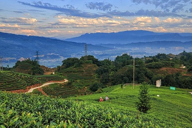 Flexible Hangzhou Private Day Tour with Lunch - Leifeng Pagoda and the city view