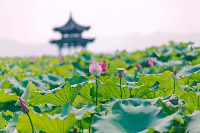 Flexible Hangzhou Private Tour from Shanghai by Bullet Train - West Lake by Walk and 45-Minute Boat Ride