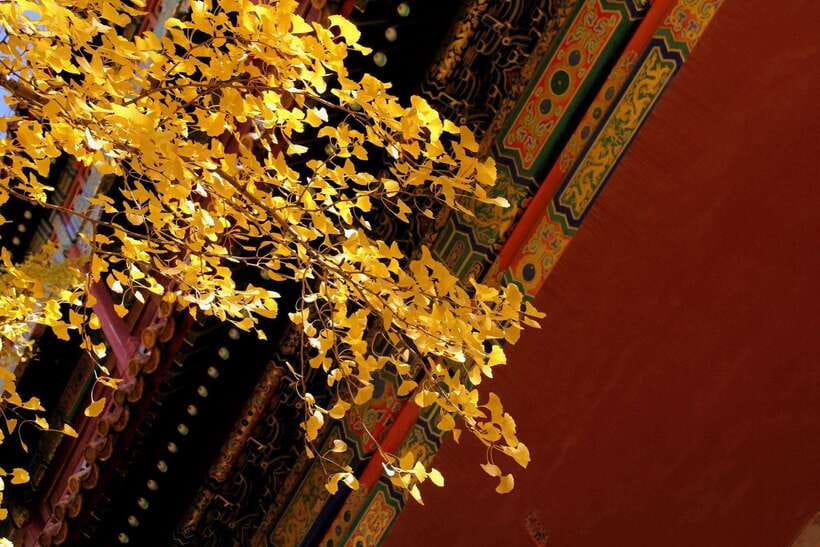 Forbidden City Of Beijing Tickets Booking And Other Option - Practical concerns before you commit