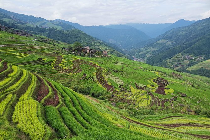 From Guilin/Yangshuo: Longji Rice Terraces and Ethnic Minority Village Day Tour - Meeting the Yao and Zhuang communities