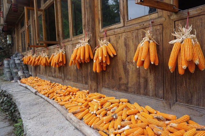 From Guilin/Yangshuo: Longji Rice Terraces and Ethnic Minority Village Day Tour - Lunch at a farmer’s house restaurant