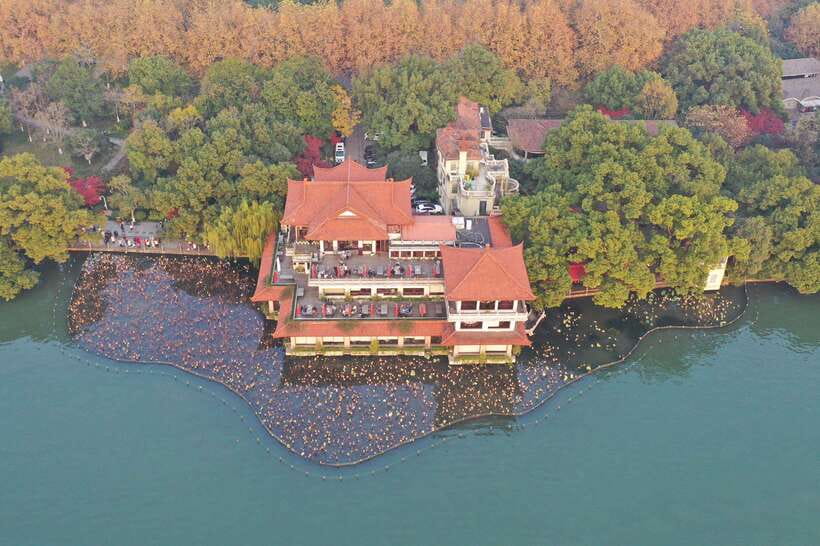 From Shanghai: Hangzhou Private Day Trip by Bullet Train - Choosing between Lingyin Temple and Huxueyan Former Residence