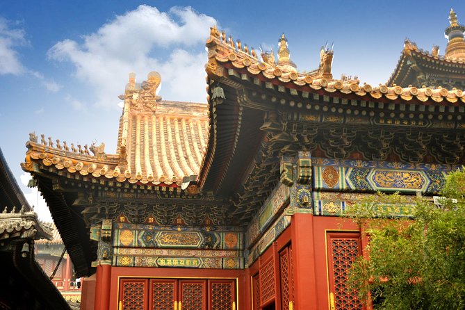 Full-Day Beijing City Tour: Hutongs, Lama Temple and Panda House - Lama Temple and its enormous wooden Buddha