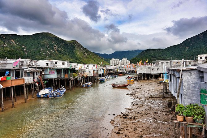 Full-Day Private Tour of Lantau Island including Big Buddha and Tai O - Seeing Tai O’s stilt houses and seafood market