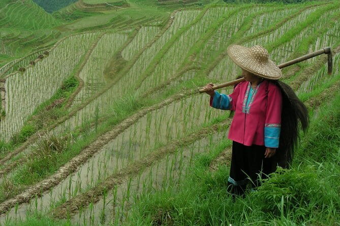Fully-Guided Private Day Tour of Longji Terraces From Guilin - Lunch and the real cost of the day