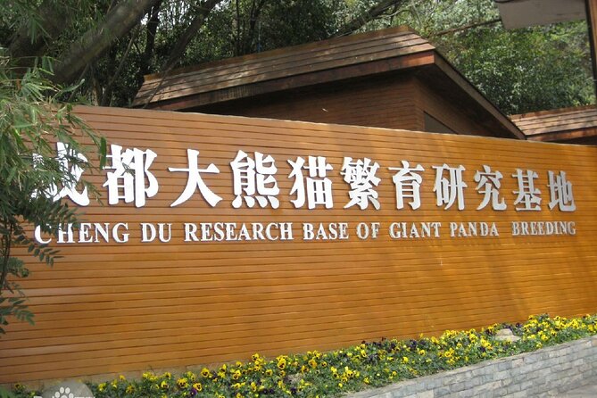 Giant Panda and Leshan Buddha Day Trip from Chengdu - Meeting the Leshan Giant Buddha