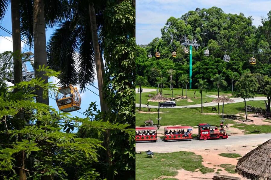 Guangzhou Chimelong: Safari Park/Paradise（Optional Day Tour） - Cancellation and booking flexibility