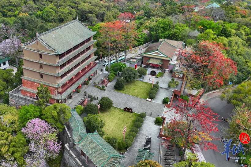Guangzhou Full Day City Tour with Old and New Highlights - Shamian Island and its foreign-era architecture