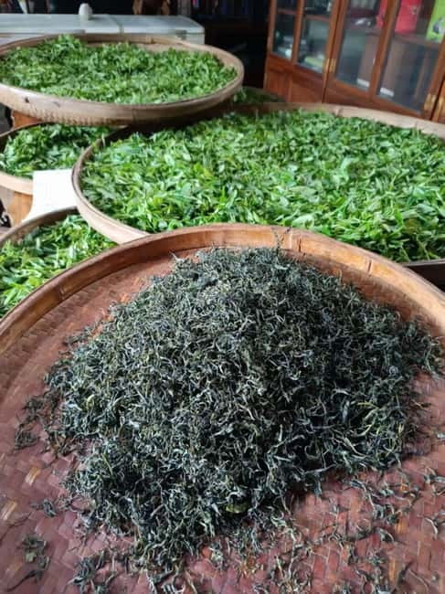 Guilin: City Tour with Elephant Hill & Ming Tea Tasting - Elephant Trunk Hill and the Li River view