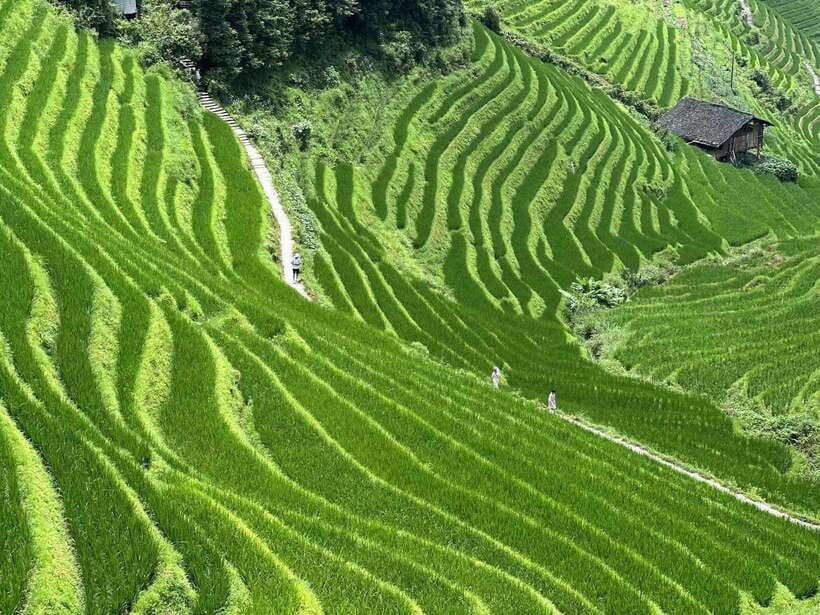 Guilin: Day tour of Longji Rice Terraces and Yangshuo - Walking through villages instead of stopping at a lookout