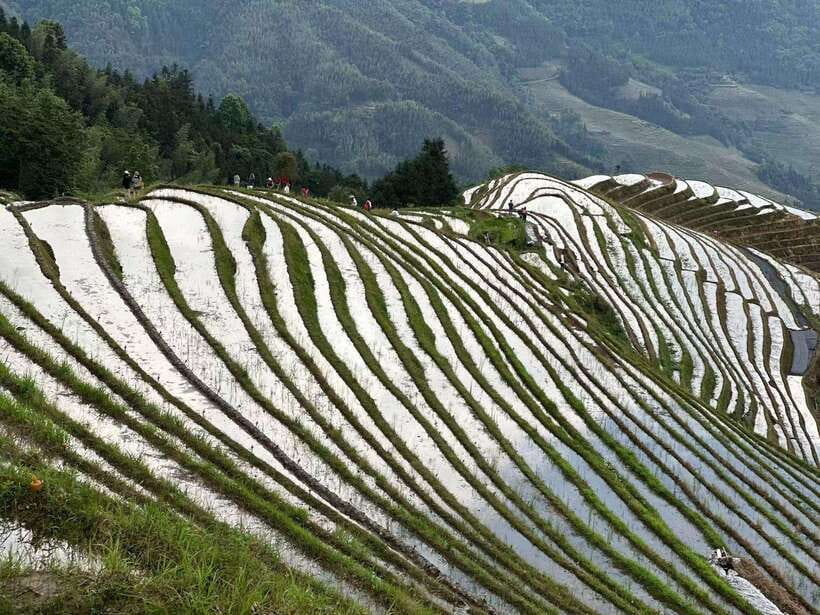 Guilin: Day tour of Longji Rice Terraces and Yangshuo - Yangshuo, the Li River setting, and a short guided visit