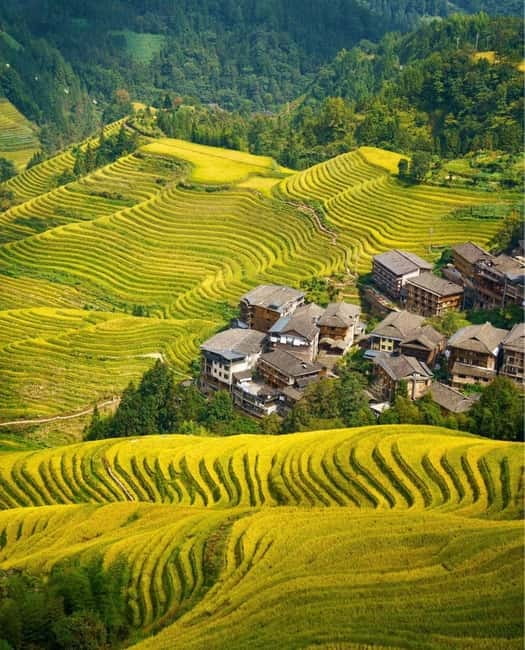 Guilin Longji: Rice Terrace with Oil-Tea Demo & Zhuang Lunch - Making Longji Oil Tea From Peanuts and Soybeans