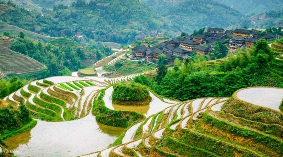 Guilin: Longji Rice Terraces& Long Hair Village Private Tour - Lunch in a local village