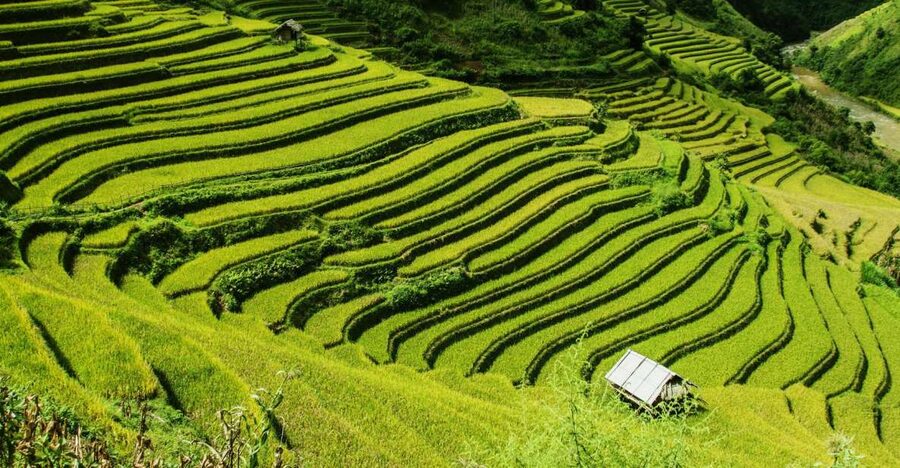 Guilin Longji Terraces Private Day Tour - Why Longji Makes a Worthwhile Day From Guilin