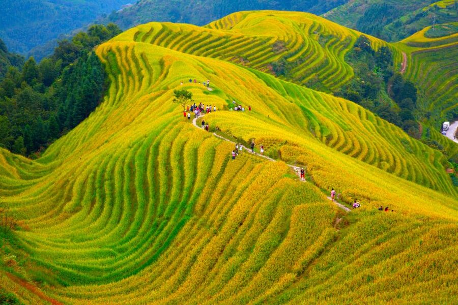 Guilin Longji Terraces Private Day Tour - The Winding Road North From Guilin
