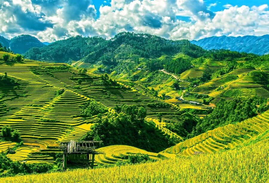 Guilin Longji Terraces Private Day Tour - A Quick Lunch Before the Main Walk