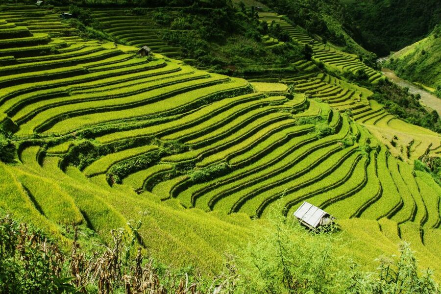 Guilin Longji Terraces Private Day Tour - Huangluo Village and the Long Hair Show