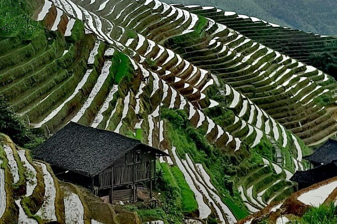 Guilin Reed Flute Cave and Longji Rice Terraces Private Day Tour - Why this Guilin day trip works