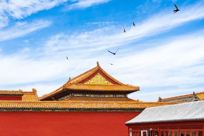 Half Day Beijing Group Tour to Tiananmen Square and Forbidden City - What your guide adds to the palace visit