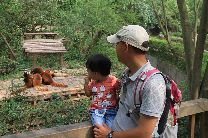 Half-Day Chengdu Panda Research Base Private Tour - Three hours with giant pandas at the research base