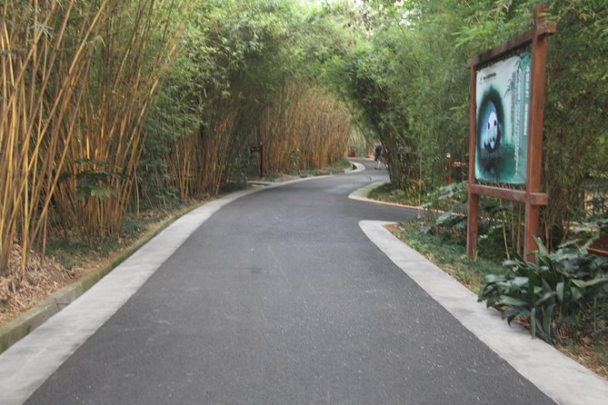 Half-Day Chengdu Panda Research Base Private Tour - What the guide adds to the panda visit