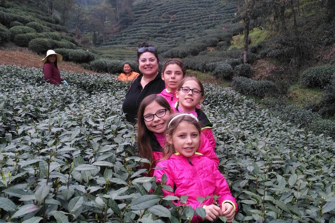 Half-Day Hangzhou Private Tour with Green Tea Village and Lingyin Temple - Why this half-day route works in Hangzhou