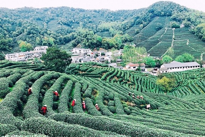 Half-Day Hangzhou Private Tour with Green Tea Village and Lingyin Temple - Who will get the most from this tour
