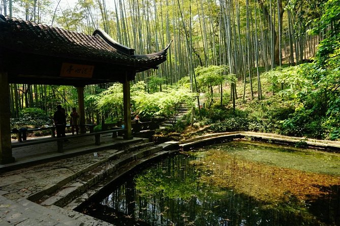 Half-Day Hangzhou Yunxi Bamboo Forest and Tea Plantation Experience - From Hangzhou streets to Yunxi bamboo