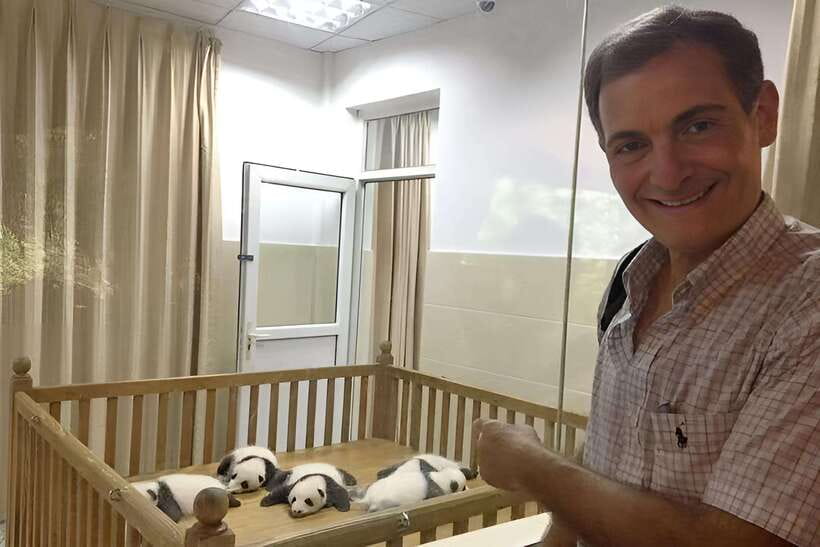 Half day small group tour to Chengdu Panda Breeding Center - Key points at a glance