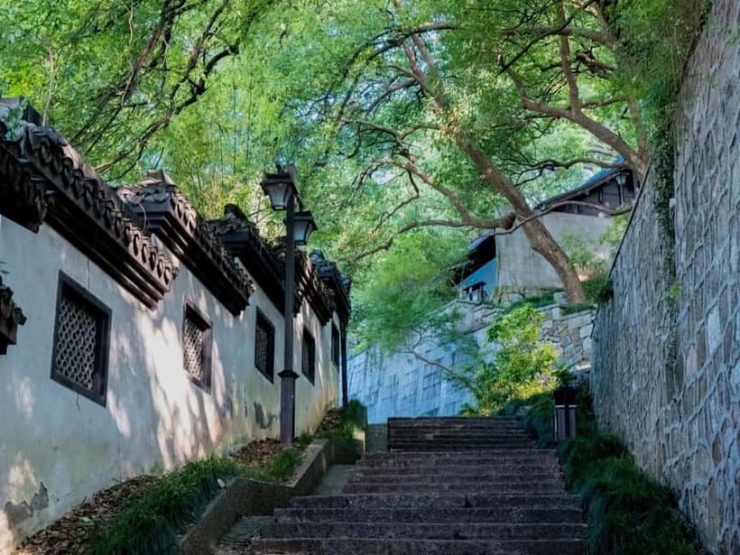 Hangzhou Insider Mini-Hike: TCM, Hill Views and Wet Market - Why this Hangzhou walk feels different