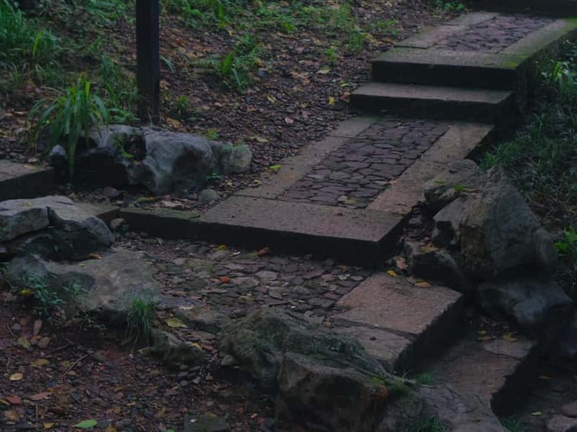 Hangzhou Insider Mini-Hike: TCM, Hill Views and Wet Market - Climbing Wu Shan Hill by old temple trails
