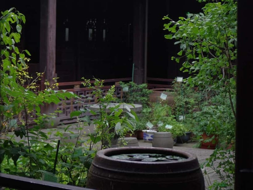 Hangzhou Insider Mini-Hike: TCM, Hill Views and Wet Market - Should you book the Wu Shan Hill and market walk?