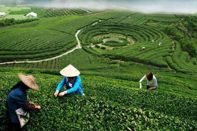 Hangzhou Private Customized Day Trip from Shanghai by Bullet Train - Hefang Street for snacks and old Hangzhou