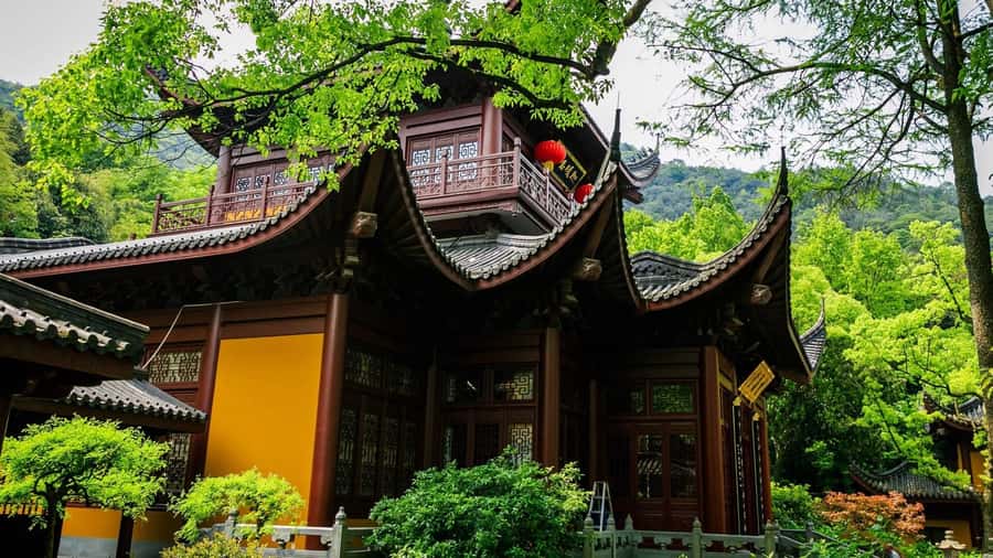 Hangzhou: Private Customized Tour of City's Top Sights - Lingyin Temple and Feilai Peak
