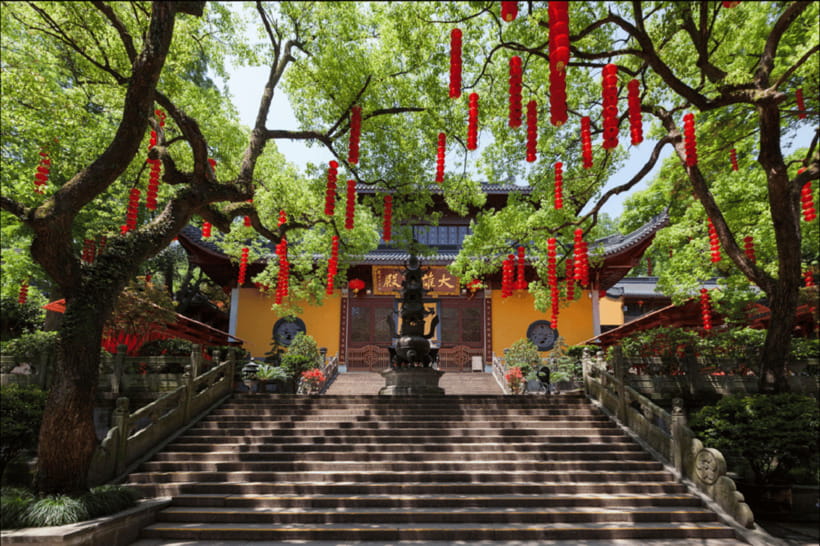 Hangzhou Private Day Trip by Bullet Train from Shanghai - What the $308 price really covers